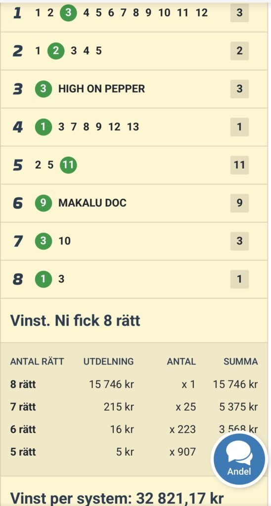 Bergsåkers Berglund V85 vinst