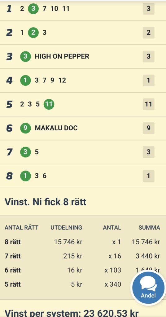 Axevallas G-son med 8 rätt på V85