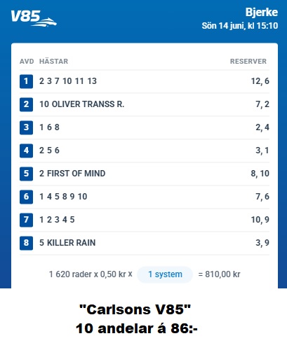 260614 Bjerke