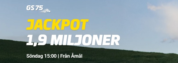 260809 Åmål