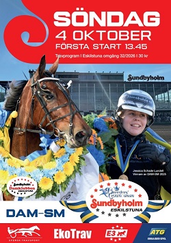 261004 Eskilstuna