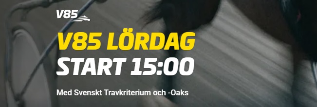 261010 Solvalla