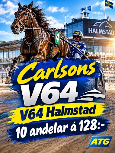 V64 Halmstad
